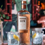 Absolut Elyx Copper Distilled Vodka // Set of 2 // 750 ml Each