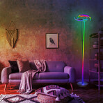 Embodiment  RGB Floor Lamp
