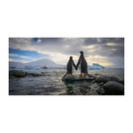 Penguin Love Print on Wrapped Canvas (6"H x 12"W x 1.5"D)
