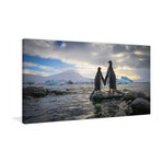Penguin Love Print on Wrapped Canvas (6"H x 12"W x 1.5"D)