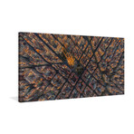 Barcelona Print on Wrapped Canvas (6"H x 12"W x 1.5"D)
