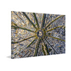 Paris Aerial Print on Wrapped Canvas (8"H x 12"W x 1.5"D)