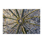 Paris Aerial Print on Wrapped Canvas (8"H x 12"W x 1.5"D)