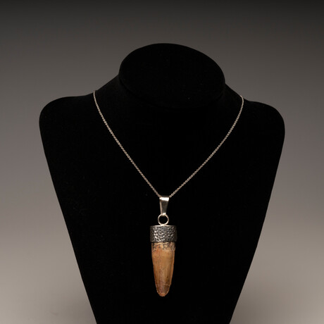 Spinosaurus Tooth Pendant