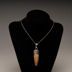 Spinosaurus Tooth Pendant