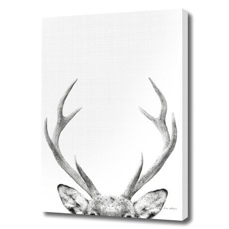 Deer Portrait (12"H x 8"W x 0.75"D)