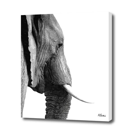 Elephant Portrait (10"H x 8"W x 0.75"D)