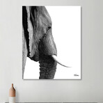 Elephant Portrait (10"H x 8"W x 0.75"D)