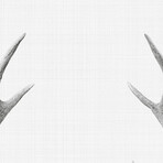 Deer Portrait (12"H x 8"W x 0.75"D)