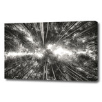 Bamboo Forest (8"H x 12"W x 0.75"D)