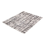 Anitra // Gray Rug (5'7" x 3'11")