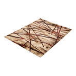 Ceyla // Gold + Red Rug (5'7"L x 3'11"W)