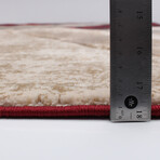 Haley // Burgundy Rug (5'7"L x 3'11"W)