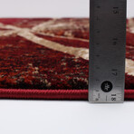 Ceyla // Red Rug (5'7"L x 3'11"W)