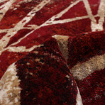 Ceyla // Red Rug (5'7"L x 3'11"W)