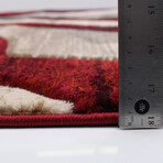 Banu // Burgundy Rug (5'7"L x 3'11"W)