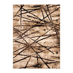 Ceyla // Chocolate + Gold Rug (5'7"L x 3'11"W)