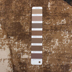 Haley // Taupe Rug (5'7"L x 3'11"W)