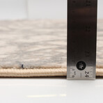 Iman // Taupe + Gray Rug (10'0"L x 7'10"W)