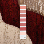 Banu // Burgundy Rug (5'7"L x 3'11"W)