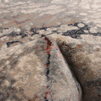 Iman // Taupe + Gray Rug (10'0"L x 7'10"W)