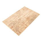 Tatum // Beige + Taupe Rug (10'0"L x 7'10"W)