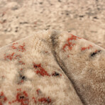 Verve // Beige + Gray Rug (10'0"L x 7'10"W)