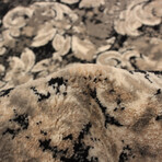 Raven // Ivory + Black Rug (10'0"L x 7'10"W)