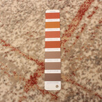 Nikita // Coral Rug (10'0"L x 7'10"W)