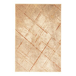 Nikita // Coral Rug (10'0"L x 7'10"W)