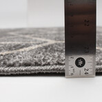 Rhea // Gray Rug (5'7"L x 3'11"W)