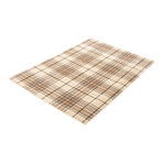 Burburry // Tan Rug (5'7"L x 3'11"W)