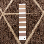 Rhea // Chocolate Rug (5'7"L x 3'11"W)