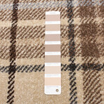 Burburry // Tan Rug (5'7"L x 3'11"W)