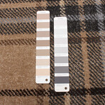 Burburry // Caramel Rug (5'7"L x 3'11"W)