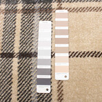 Burburry // Cream Rug (5'7"L x 3'11"W)