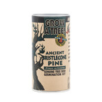 Ancient Bristlecone Pine // Seed Grow Kit