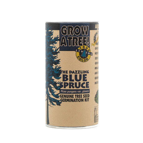 Blue Spruce // Seed Grow Kit