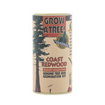 Coast Redwood // Seed Grow Kit