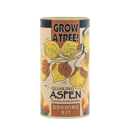 Quaking Aspen // Seed Grow Kit