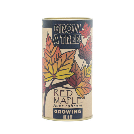 Red Maple // Seed Grow Kit