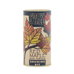 Red Maple // Seed Grow Kit