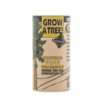 Ponderosa Pine // Seed Grow Kit