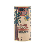 Giant Sequoia // Seed Grow Kit