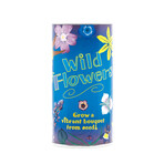 Wildflower Mix // Seed Grow Kit