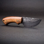 Colter Skinner Damascus Steel Knife