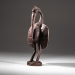 Genuine Hornbill Bird Wood Carving // Sejen v.1
