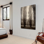 Tree Pair Print on Wrapped Canvas (8"W x 12"H x 1.5"D)