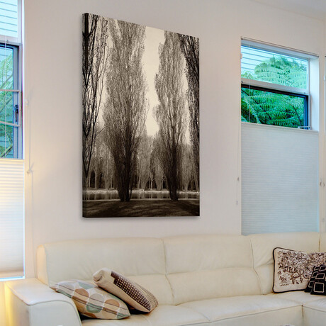 Tree Pair Print on Wrapped Canvas (8"W x 12"H x 1.5"D)