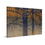 Burnt Tree Squirrel Print on Wrapped Canvas (12"W x 8"H x 1.5"D)